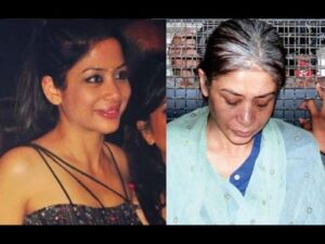 Does the chart of Indrani Mukherjee tell about her criminal mindset and fall from grace ?