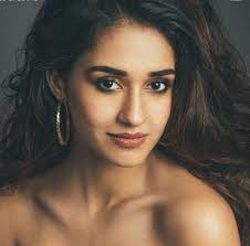 Read more about the article Can a kundli analysis be done for Disha Patani?